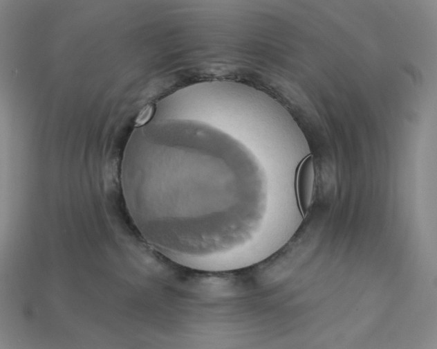 X0000115170236200911121746