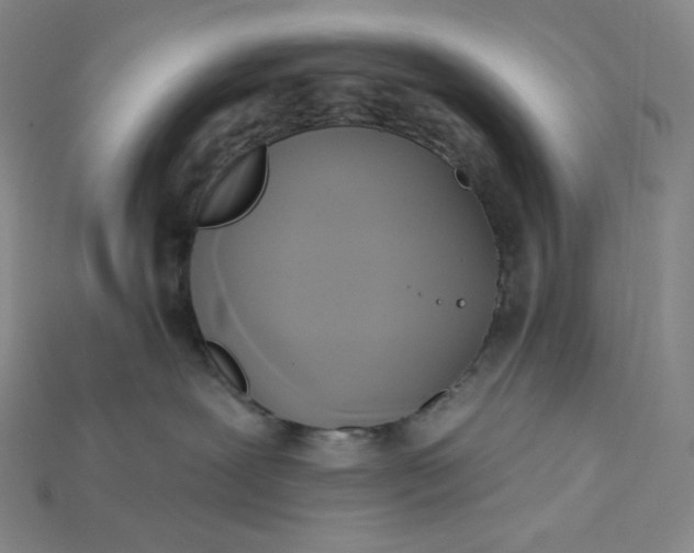 X0000115170239200911121746