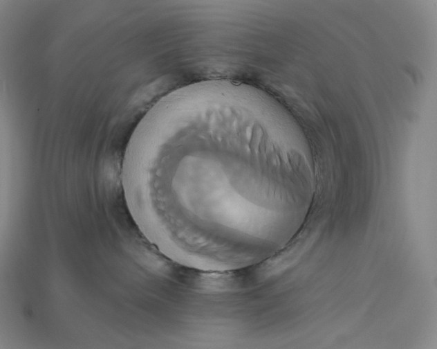 X0000115170240200911121746