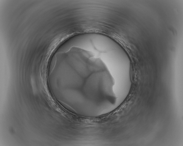 X0000115170241200911121745