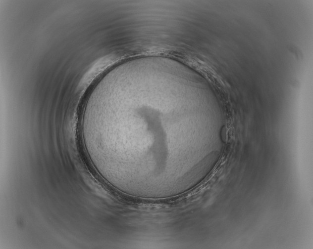 X0000115170242200911121745