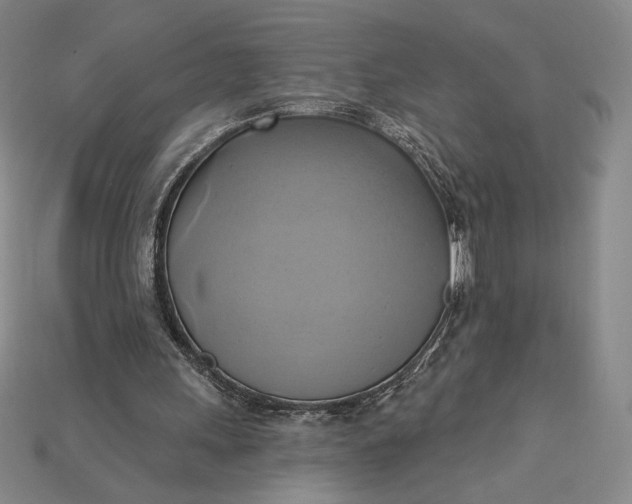 X0000115170243200911121745