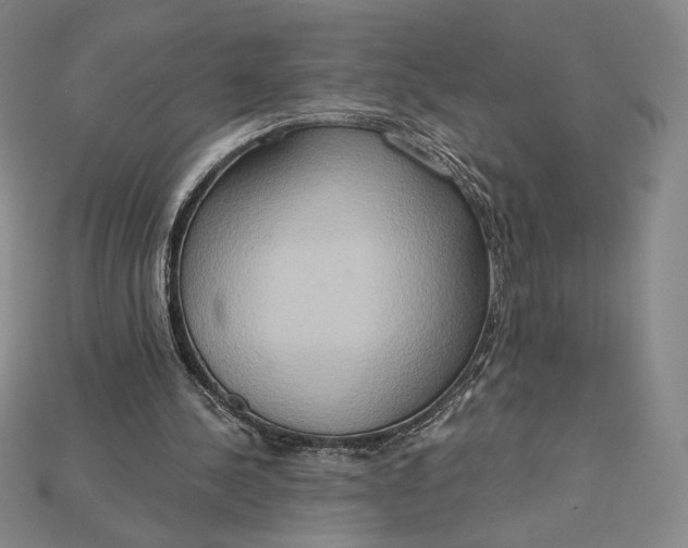 X0000115170244200911121745