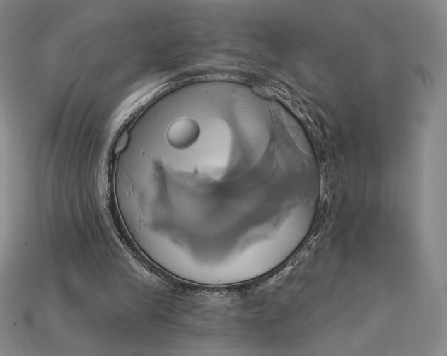 X0000115170245200911121745