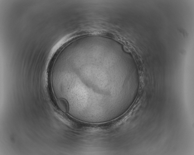 X0000115170246200911121745