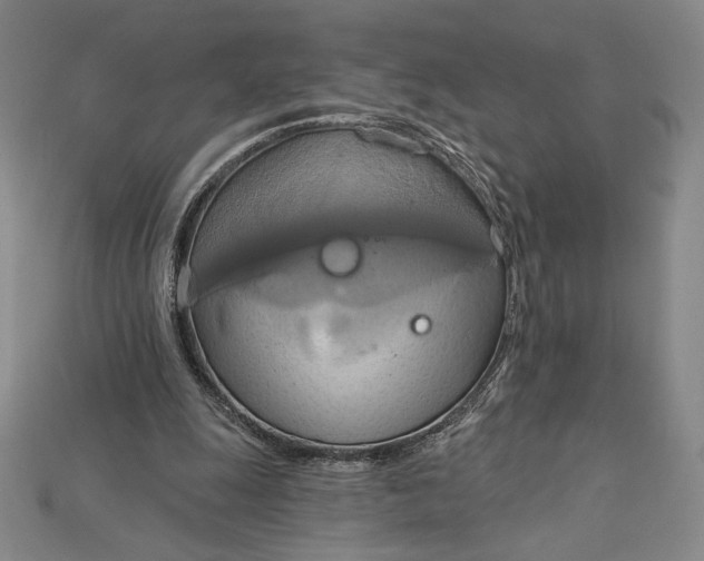 X0000115170247200911121745