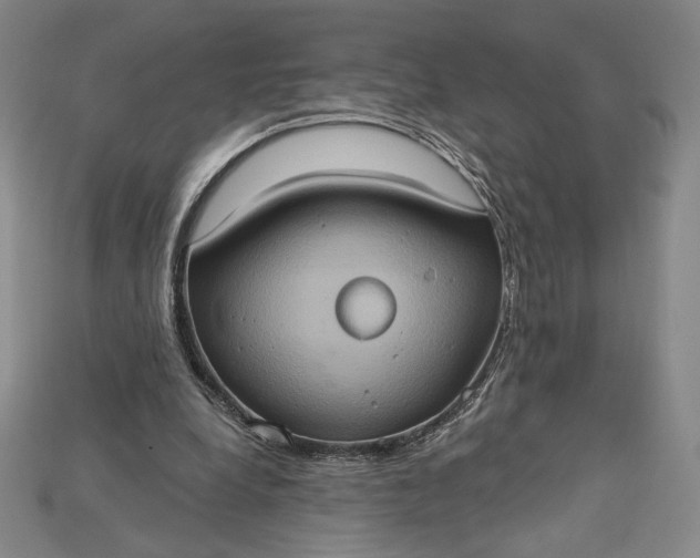 X0000115170248200911121745