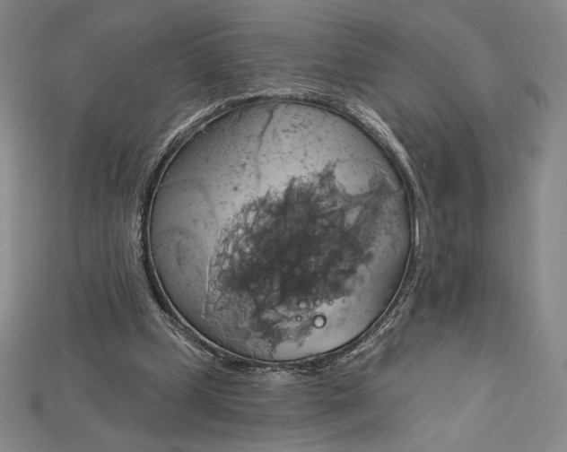 X0000115170249200911121745