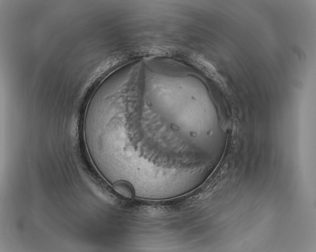 X0000115170250200911121745