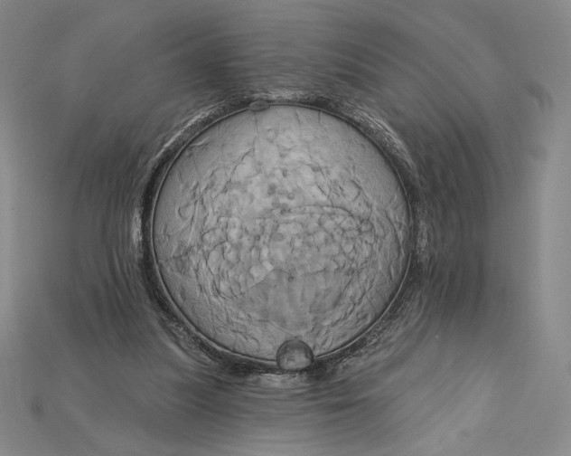 X0000115170251200911121745