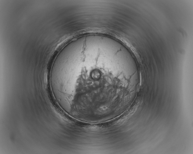 X0000115170253200911121745