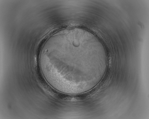 X0000115170254200911121746