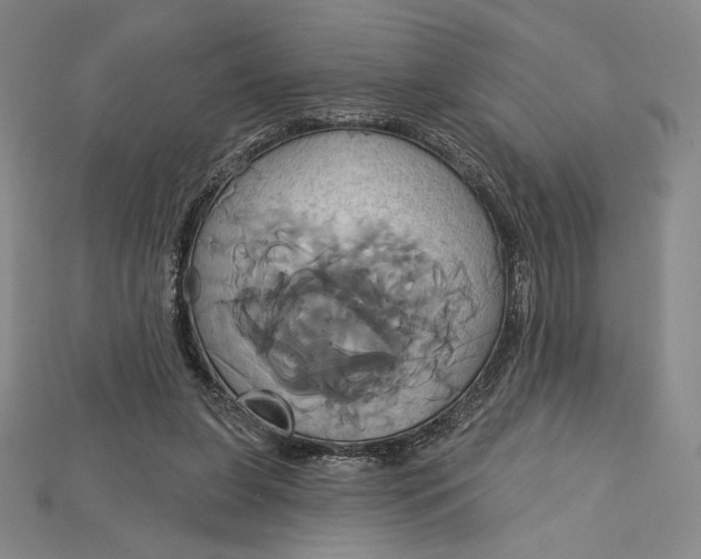 X0000115170255200911121746