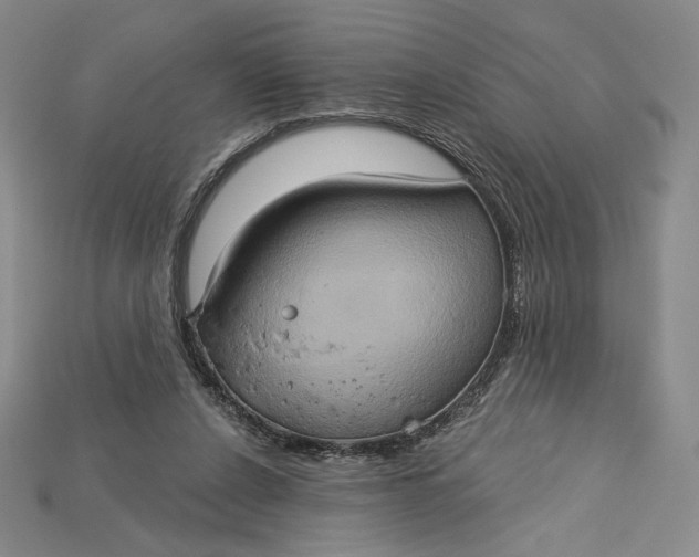 X0000115170256200911121746