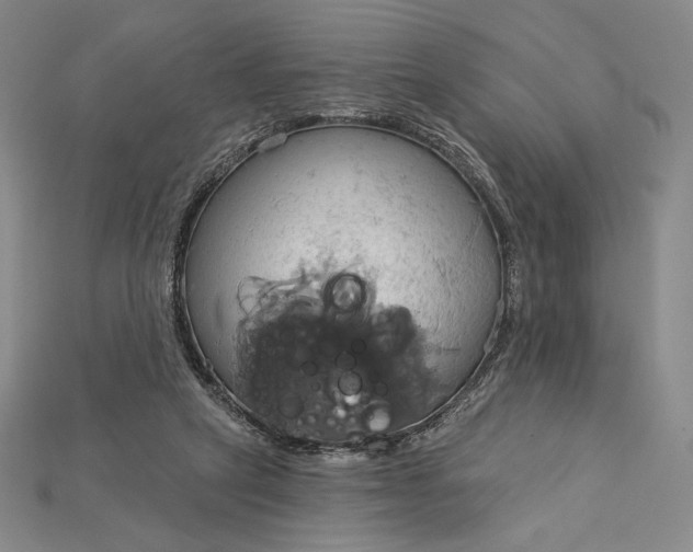 X0000115170257200911121746