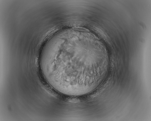 X0000115170258200911121746