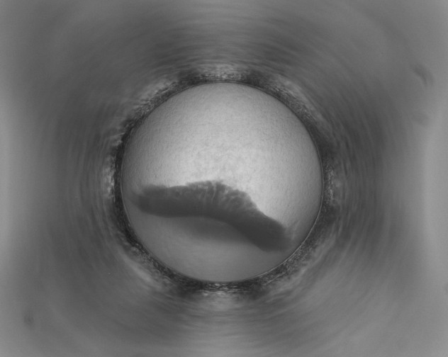 X0000115170259200911121746