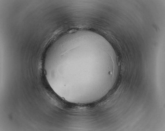 X0000115170260200911121746