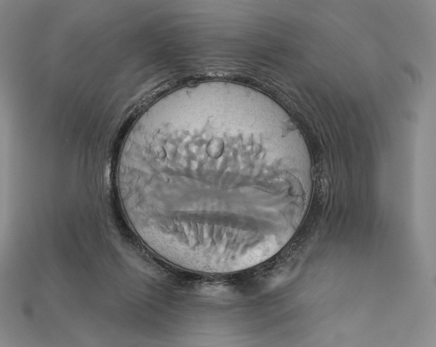 X0000115170262200911121746
