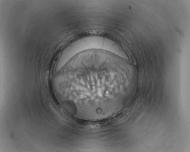 X0000115170263200911121746