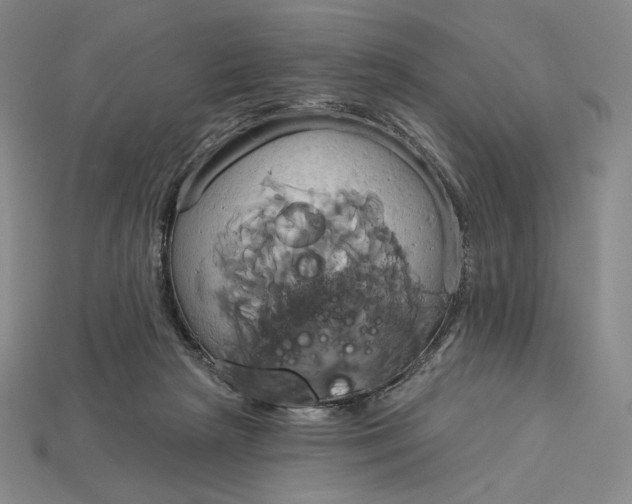 X0000115170265200911121746