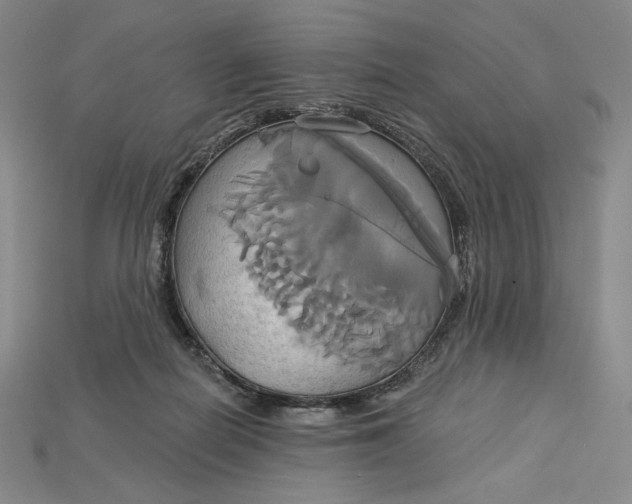 X0000115170266200911121746