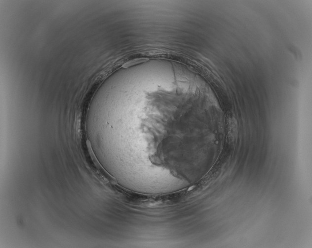 X0000115170267200911121746