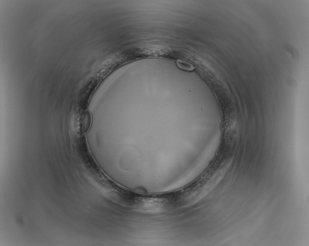 X0000115170268200911121746
