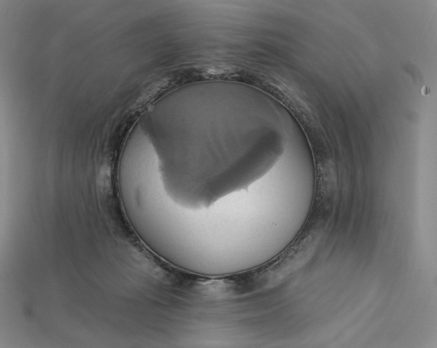 X0000115170269200911121746