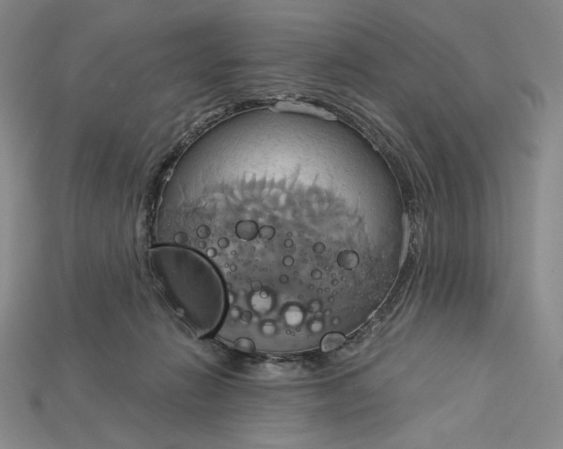 X0000115170270200911121746