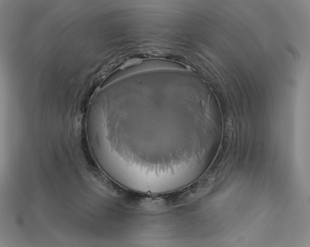 X0000115170271200911121746