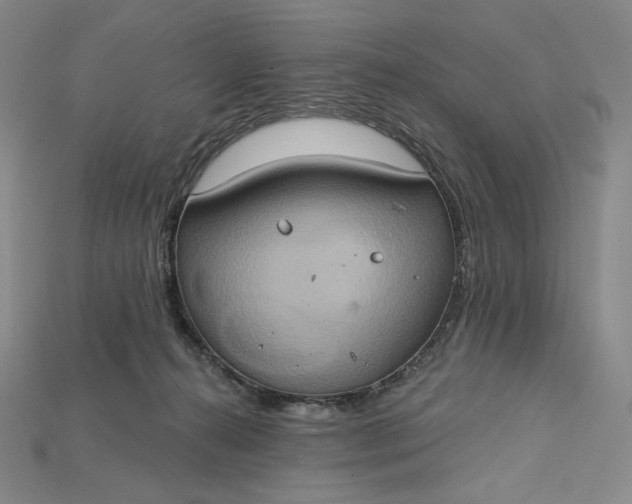 X0000115170272200911121746