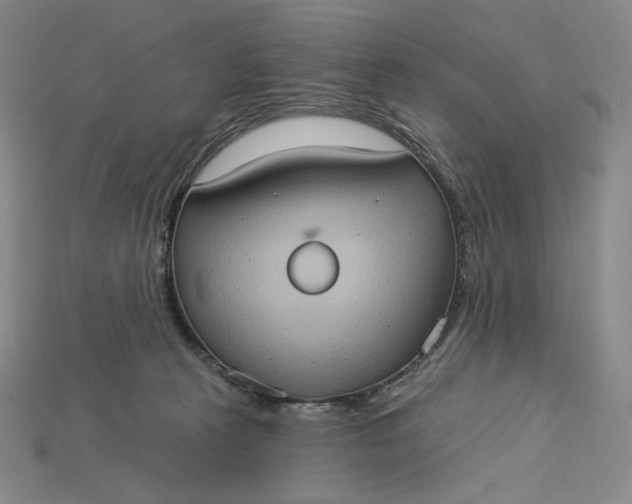 X0000115170273200911121746