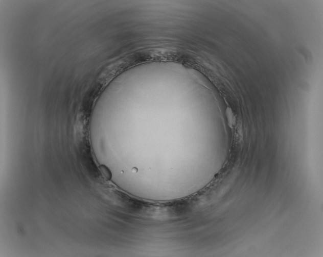X0000115170276200911121746
