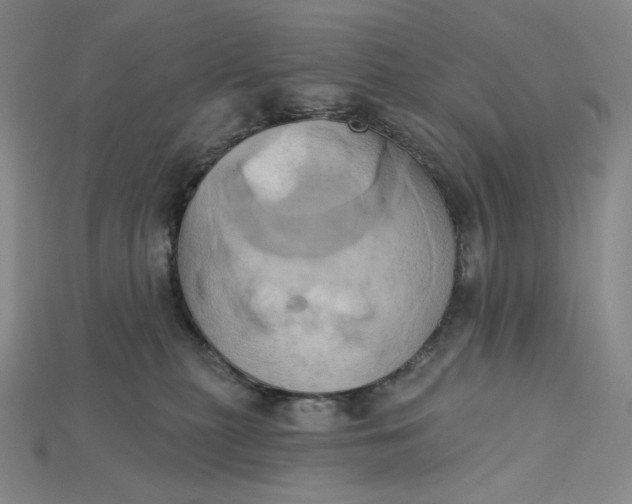 X0000115170279200911121746