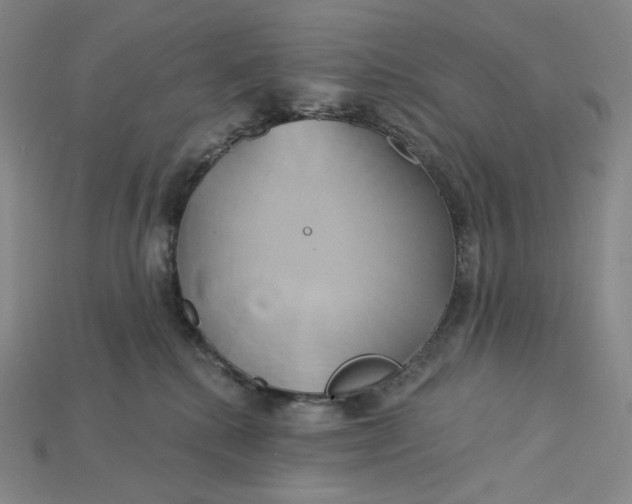 X0000115170280200911121746