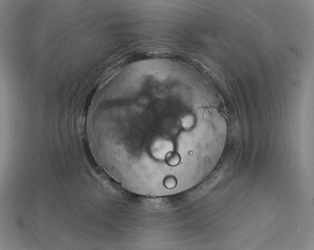 X0000115170281200911121746