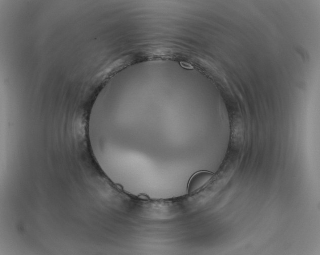 X0000115170282200911121746