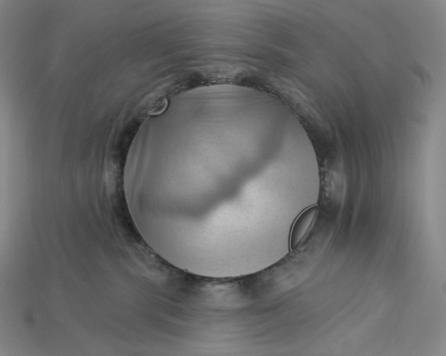 X0000115170283200911121746