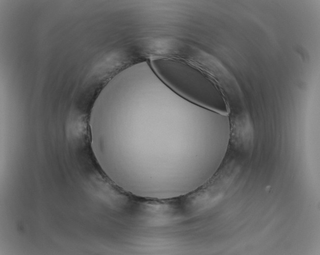 X0000115170284200911121746