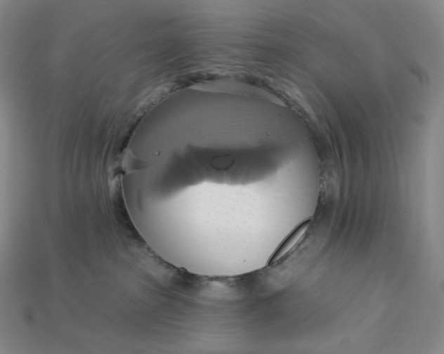 X0000115170285200911121746