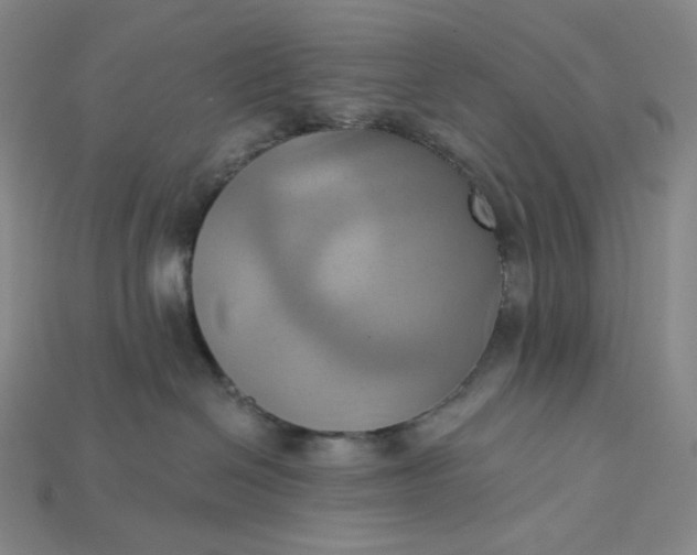 X0000115170286200911121746