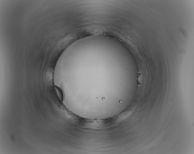 X0000115170288200911121746