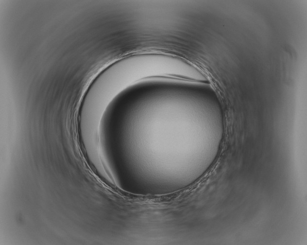X0000115170289200911121745