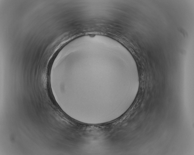 X0000115170290200911121745