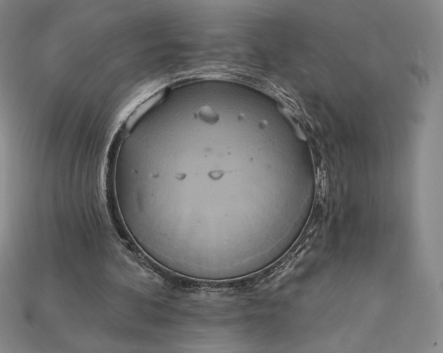 X0000115170292200911121745