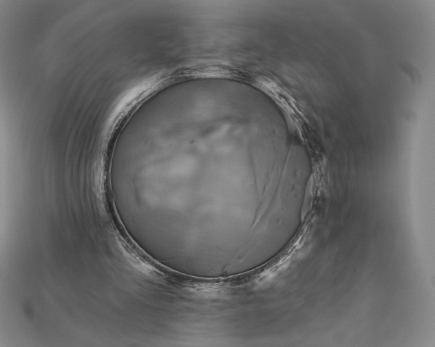 X0000115170293200911121745