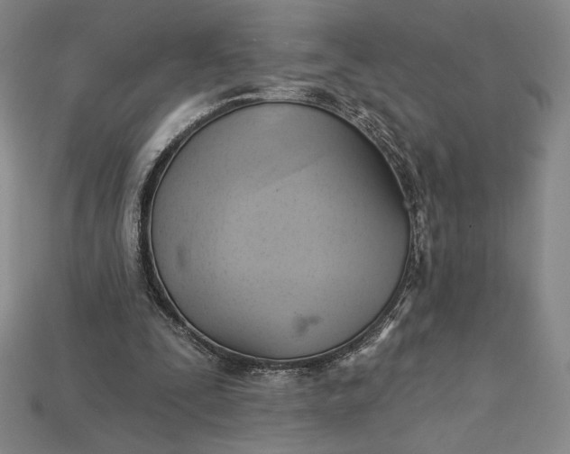 X0000115170295200911121745