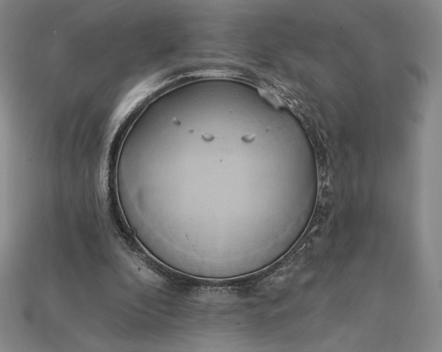 X0000115170296200911121745