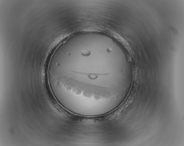 X0000115170298200911121745